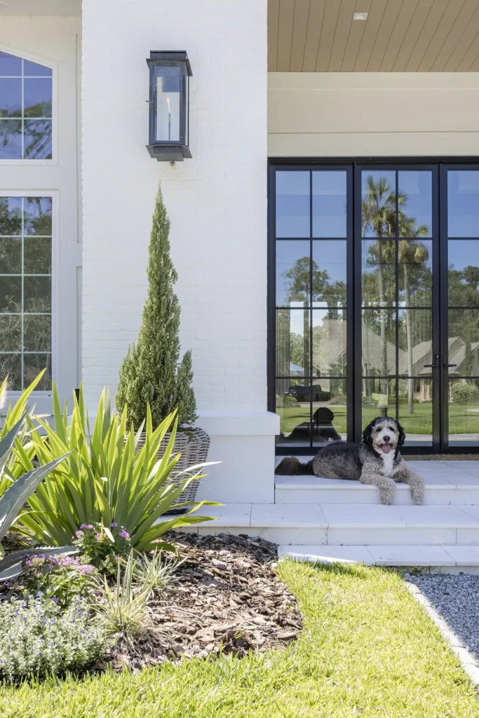 Custom home exterior with front steps and dog by Alesch Luxury Custom Builders in Ponte Vedra Beach